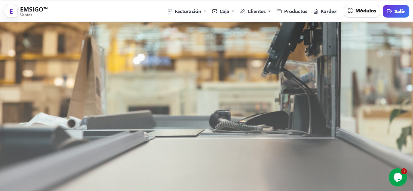 ERP v4.1